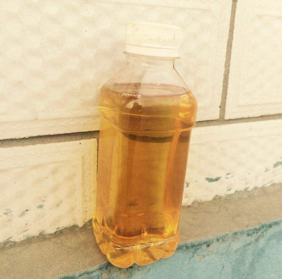 ��¯ȼ����