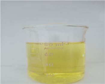 ��������ȼ��